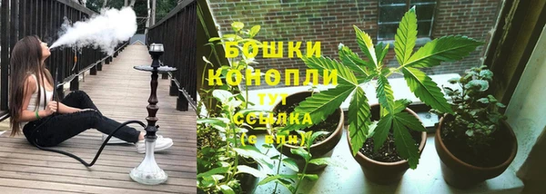 ECSTASY Абаза