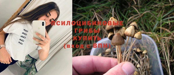 ECSTASY Абаза